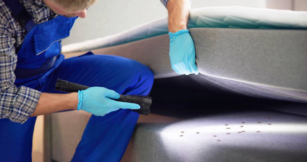 Best Mosquito Control Services  in Lake Meade, PA